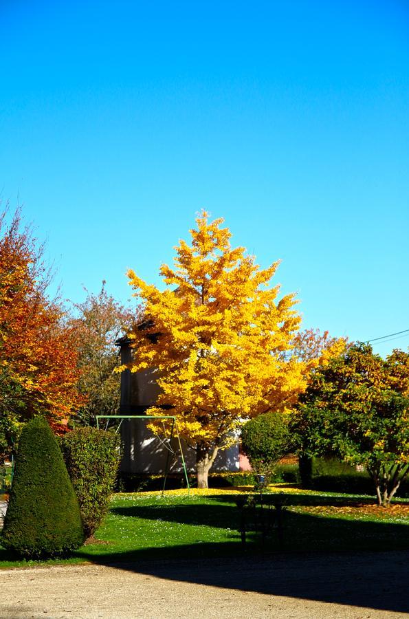 Chateau De Montabert Montaulin Εξωτερικό φωτογραφία